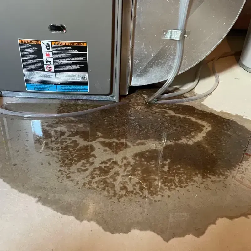 Appliance Leak Cleanup in Appleton, MN